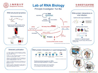 RNA Structural and Systems Biology